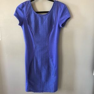 Love Posh Sexy Dress